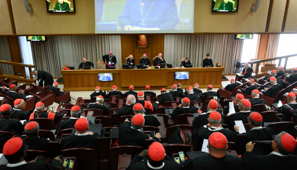 Los 133 cardenales electores ya están en Roma - Portal Digital Cáritas Universidad Católica
