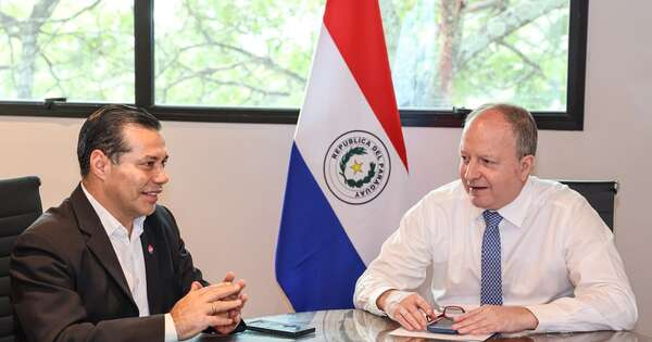 La Nación / MEF y Ande analizan inversiones para fortalecer el sistema eléctrico nacional