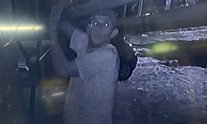 Vecinos ayudan a capturar a ladrón que se metió a casa y tomó cerveza de la heladera - OviedoPress