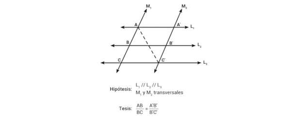 Teorema de Thales con ejemplos resueltos - Matemática Tercer Ciclo - ABC Color