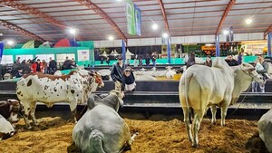 Expo Santa Rita deja grandes dividendos en remates y ventas