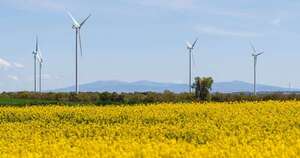 La Nación / España: descartan incidencia de energía renovable en el apagón
