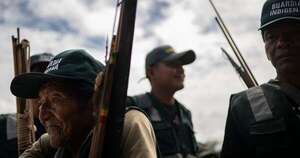 La Nación / Flechas contra tractores: guardia indígena vigila el bosque amazónico