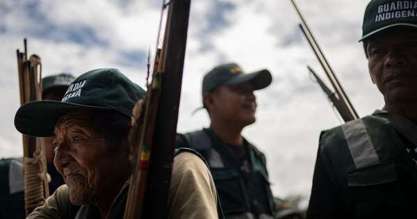 La Nación / Flechas contra tractores: guardia indígena vigila el bosque amazónico