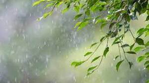 ¡Bonanza! Se vienen días frescos y con lluvias, especialmente el finde