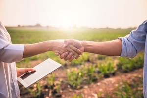 La agricultura, el sector con mayor demanda de préstamos en el sistema bancario - MarketData
