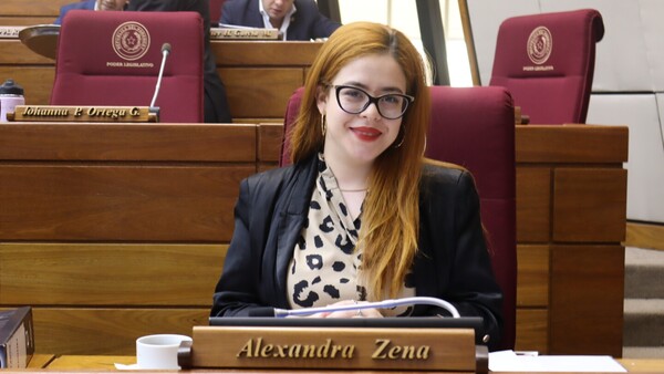 Diputado advierte sobre uso indebido del poder para favorecer a familiares: "Es tráfico de influencia"