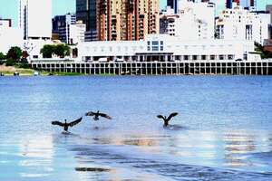 Nivel del Río Paraguay sigue subiendo y se acerca a la normalidad en Asunción - Clima - ABC Color