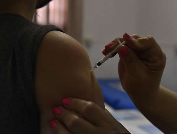 Fiebre Amarilla: ante nuevos brotes en la región, instan a estar alertas - Nacionales - ABC Color