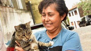 Más de 80 gatos esperan a un dueño responsable en Loma San Jerónimo