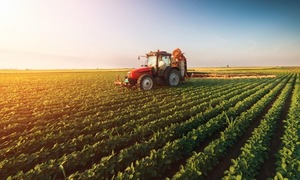 Agricultores solicitaron préstamos por US$ 2.770 millones para sus cultivos | Bancos | 5Días