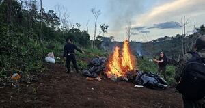 La Nación / Queman 10.000 kilos de marihuana y vinculan a delincuentes que mantienen en zozobra a Alto Verá