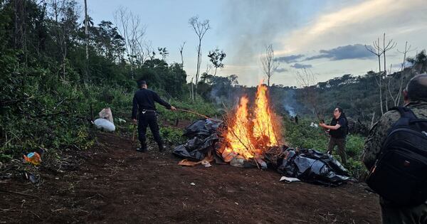 La Nación / Queman 10.000 kilos de marihuana y vinculan a delincuentes que mantienen en zozobra a Alto Verá