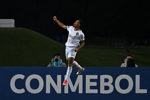 Versus / El campeón Botafogo respira en la Libertadores