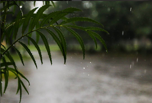 Jornada cálida a calurosa y lluvias dispersas, anuncia Meteorología - ADN Digital