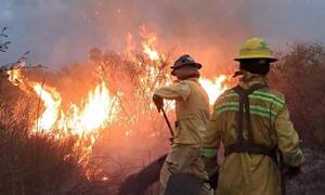 Bomberos combaten voraz incendio forestal en la zona Luque-San Bernardino – Prensa 5