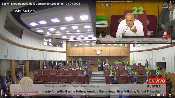“Bachi” niega falta de quorum durante sanción del proyecto que crea juzgados de la familia - Política - ABC Color