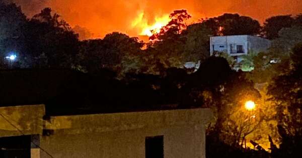 La Nación / Incendio en una yerbatera deja millonaria pérdida en Natalio