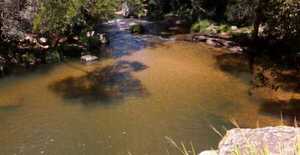 Se intervendrá el arroyo Rosedal en Villa Elisa con miras a prevenir inundaciones - .::Agencia IP::.