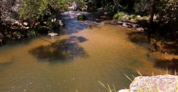 Se intervendrá el arroyo Rosedal en Villa Elisa con miras a prevenir inundaciones - .::Agencia IP::.
