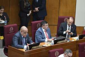 Aplanadora cartista aprueba acta y rechaza cuestionamientos a la aprobación de la ley que crea juzgados de la Familia - Política - ABC Color