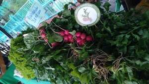 Feria por el Día de la Madre será en la Costanera de Asunción: tomate a G. 12.000 menos que en grandes comercios  - Nacionales - ABC Color