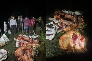 Detienen en flagrancia a dos abigeos