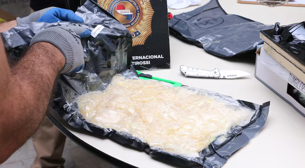 Canes detectan marihuana tipo queso desmenuzado que llegó de EEUU - Noticiero Paraguay