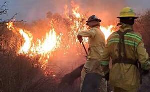 ¡Otra vez feroz incendio! Unas 70 hectáreas se quemaron en un syky y apuntan a cazadores