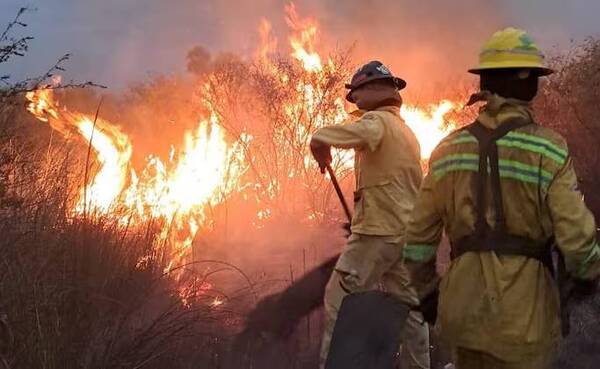 ¡Otra vez feroz incendio! Unas 70 hectáreas se quemaron en un syky y apuntan a cazadores