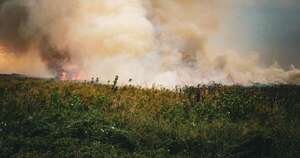 La Nación / Mades recuerda que prevenir un incendio es más fácil que combatirlo