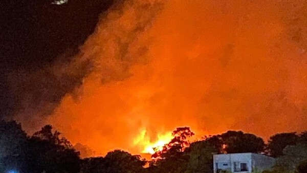 Incendio de gran magnitud afecta yerbatera en Natalio