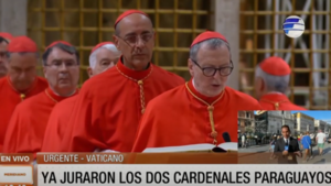 ¿Dónde se alimentan y descansan los cardenales?