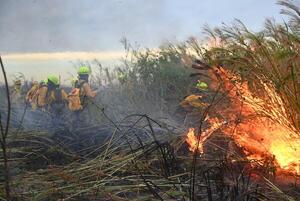 Fuerzas Armadas colaboran con bomberos en lucha contra incendio en ruta - 1000 Noticias