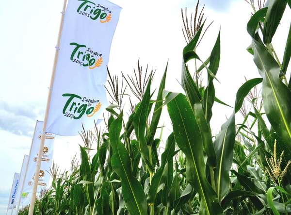 Lanzamiento oficial de la Campaña Nacional de Siembra de Trigo 2025 | Agronegocios | 5Días