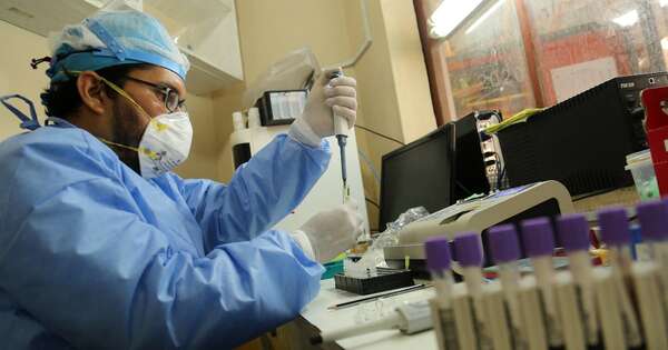 La Nación / “Los niños están muriendo”: la leptospirosis causa estragos entre indígenas de Ecuador