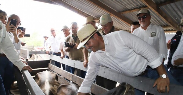 Mientras aumentan las exportaciones, el hato ganadero podría reducirse en 500.000 cabezas este año