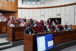 Senado aprueba proyecto sobre «reposo por maternidad» con modificaciones