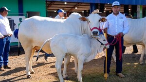 Expo Santa Rita supera expectativas en su edición número 31