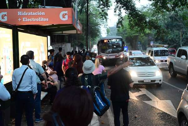 Diputado cuestiona inacción del Gobierno para mejorar transporte - Nacionales - ABC Color