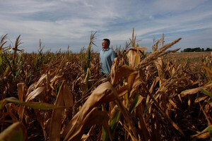 Tres cambios para que el campo argentino exporte US$ 50.000 millones en 10 años | Internacionales | 5Días