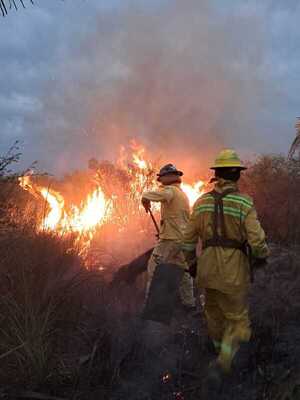 Controlan incendio en Luque-San Bernardino - 1000 Noticias