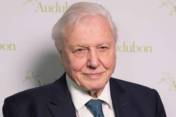 Sir David Attenborough cumple 99 años, y estas son las razones para celebrarlo - Ciencia - ABC Color