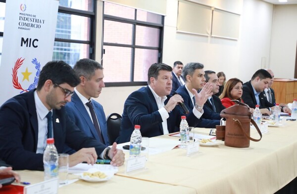 Gobierno analiza posibilidades crediticias para incentivar la industria nacional - .::Agencia IP::.