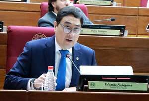 Senador alerta a la comunidad internacional de cambios de leyes electorales para favorecer al cartismo - Política - ABC Color