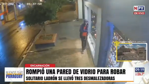 Solitario ladrón “rompevidrios” roba 3 costosos desmalezadores de un local en Encarnación
