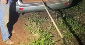 La Nación / Terrible! Pillaron en flagrancia desecho de cloaca cerca de la Ruta 6 en Tavapy