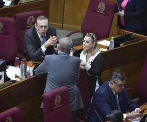 Lizarella insinúa que Lilian recibió plata de ONG para impulsar juzgados de la mujer y Esperanza le responde  - Política - ABC Color