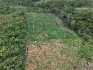 Intervienen centro de acopio de marihuana en Canindeyú - 1000 Noticias