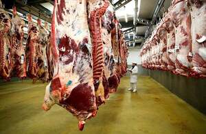 Carne paraguaya rumbo a países asiáticos: ¿Qué tan avanzadas están las negociaciones? | Agronegocios | 5Días